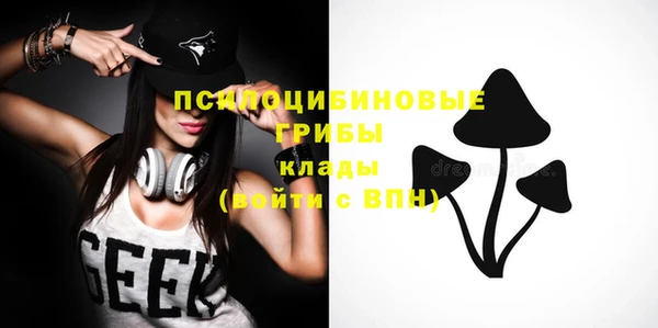 сатива Алзамай