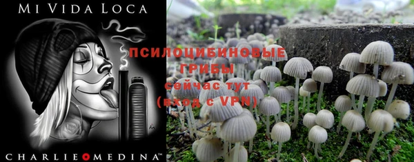 сатива Алзамай