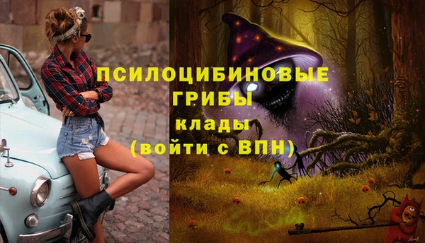 сатива Алзамай