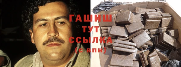 сатива Алзамай