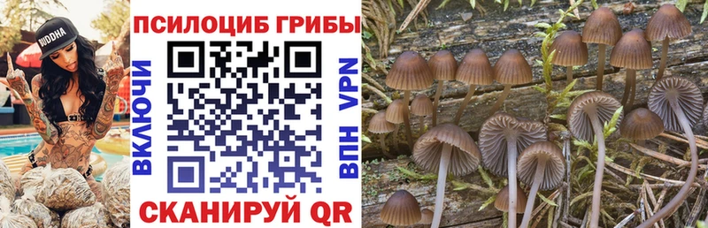 Псилоцибиновые грибы прущие грибы  ОМГ ОМГ зеркало  Катав-Ивановск 